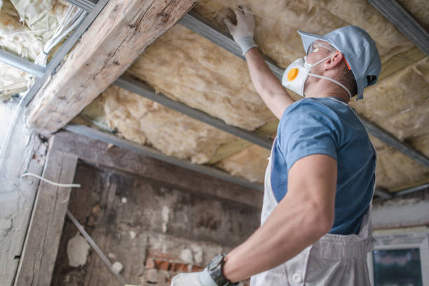 Best Eco-Friendly Insulation in Fort Mohave, AZ