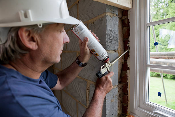 Best Specialized Insulation Services in Fort Mohave, AZ