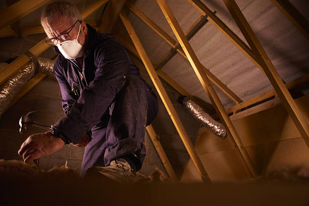  Fort Mohave, AZ Insulation Contractor Pros